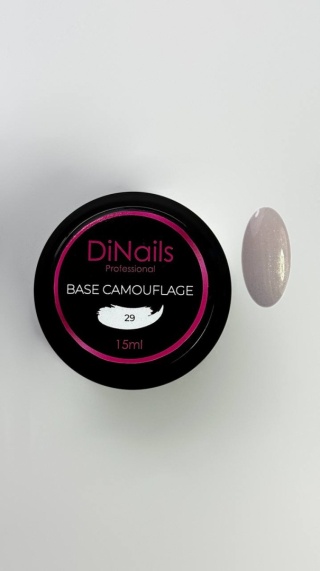 Base Camouflage | 29