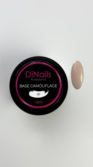 Base Camouflage | 30